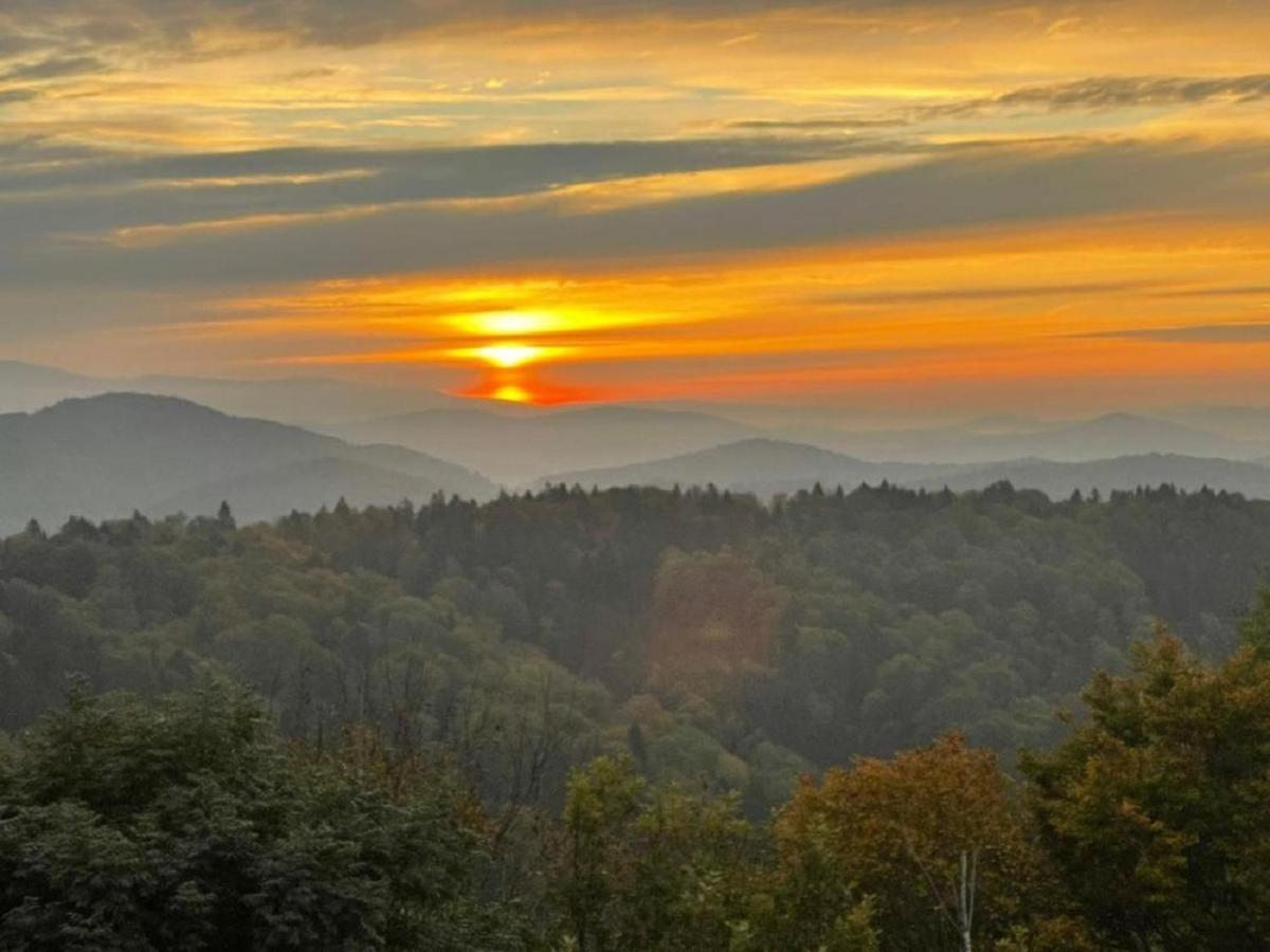 Traumblick Bayerischer Wald, Pool & Sauna, Getraenke, Klimaanlage Freyung Luaran gambar