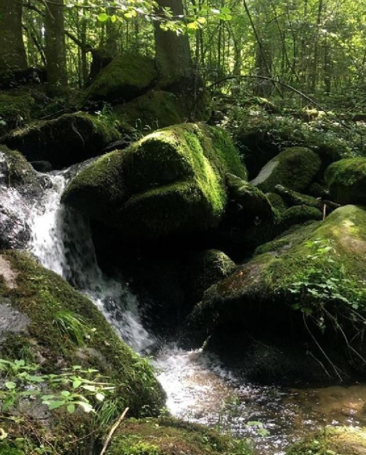 Traumblick Bayerischer Wald, Pool & Sauna, Getraenke, Klimaanlage Freyung Luaran gambar