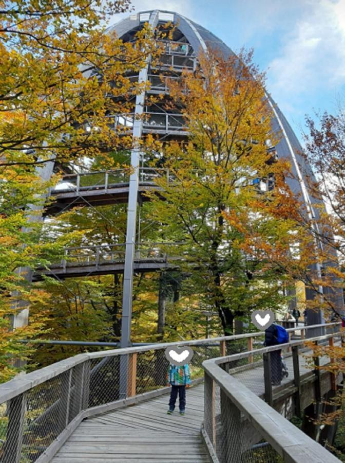 Traumblick Bayerischer Wald, Pool & Sauna, Getraenke, Klimaanlage Freyung Luaran gambar