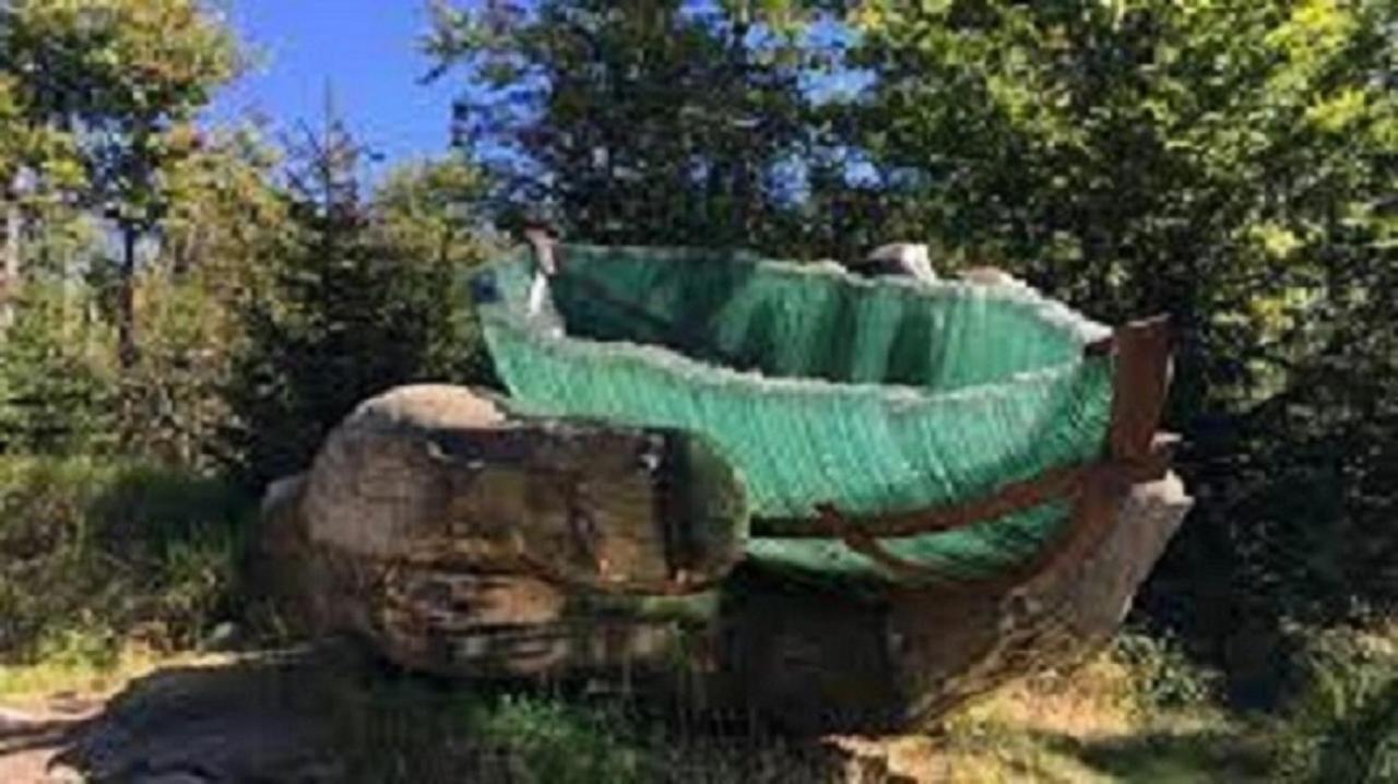 Traumblick Bayerischer Wald, Pool & Sauna, Getraenke, Klimaanlage Freyung Luaran gambar