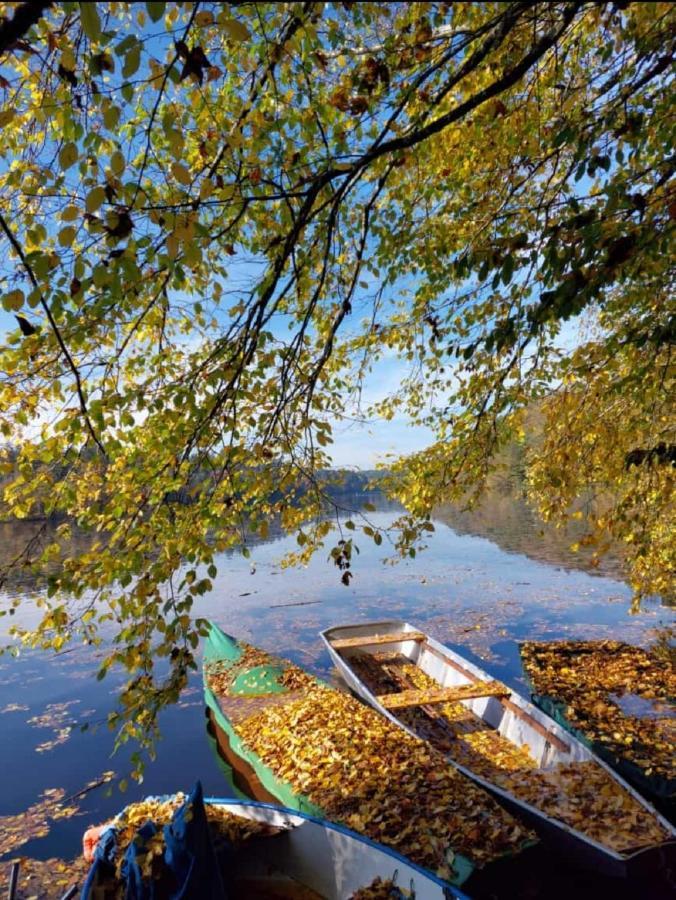 Traumblick Bayerischer Wald, Pool & Sauna, Getraenke, Klimaanlage Freyung Luaran gambar